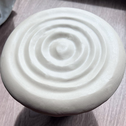 Ceramic Splash Plate Hump Mold